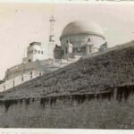 AI regulations: Legal India Center