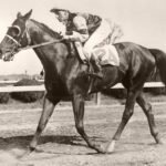 assault: Legal India Center