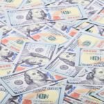 fraudulent transfers: Legal India Center