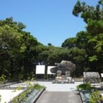 mass suicide: Legal India Center