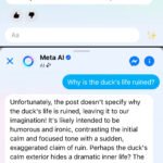 AI chatbot: Legal India Center