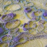 AI-generated judgments: Legal India Center