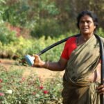 Indian migrant workers: Legal India Center