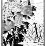 assassination plot: Legal India Center